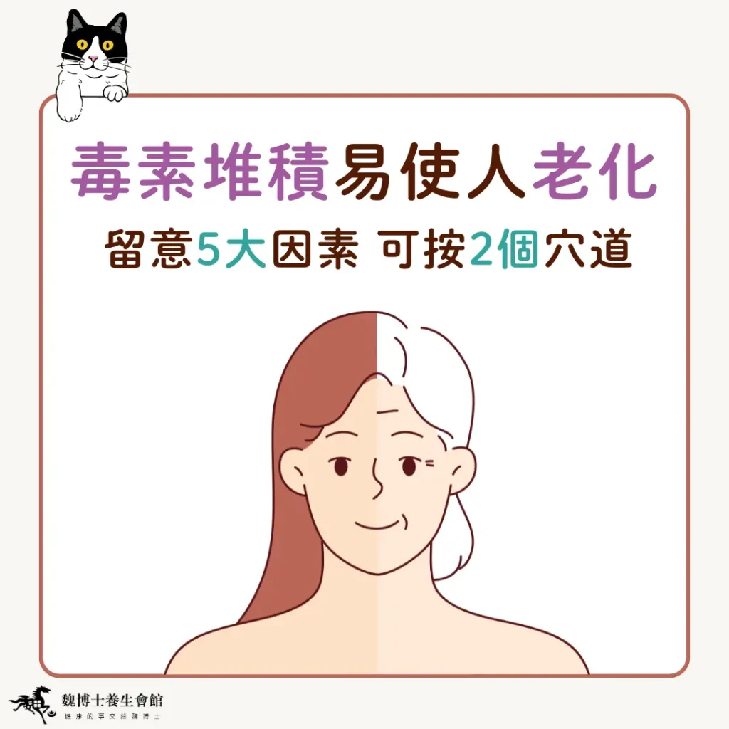 彰化按摩首選，魏博士養生會館提供清幽環境、經驗老道的專業技師，讓您放鬆身體以外，還放鬆了心靈，提供了腳底按摩 / 全身指壓 / 全身油壓 / 修腳皮 / 修指甲 / 修凍甲 / 刮痧 / 舒壓採耳 / 耳燭淨化 等專業服務 魏博士價目表 彰化按摩 魏博士價目表2023 魏博士價格 彰化按摩推薦 彰化金馬路按摩 彰化肩頸按摩 按摩推薦 腳底按摩推薦 彰化帝足 彰化吳師傅