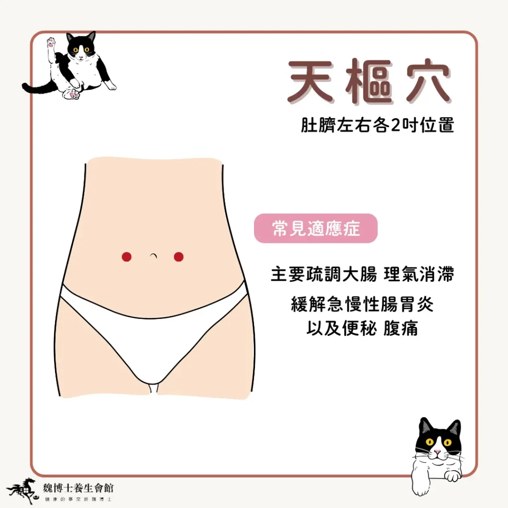 彰化按摩首選，魏博士養生會館提供清幽環境、經驗老道的專業技師，讓您放鬆身體以外，還放鬆了心靈，提供了腳底按摩 / 全身指壓 / 全身油壓 / 修腳皮 / 修指甲 / 修凍甲 / 刮痧 / 舒壓採耳 / 耳燭淨化 等專業服務 魏博士價目表 彰化按摩 魏博士價目表2023 魏博士價格 彰化按摩推薦 彰化金馬路按摩 彰化肩頸按摩 按摩推薦 腳底按摩推薦 彰化帝足 彰化吳師傅